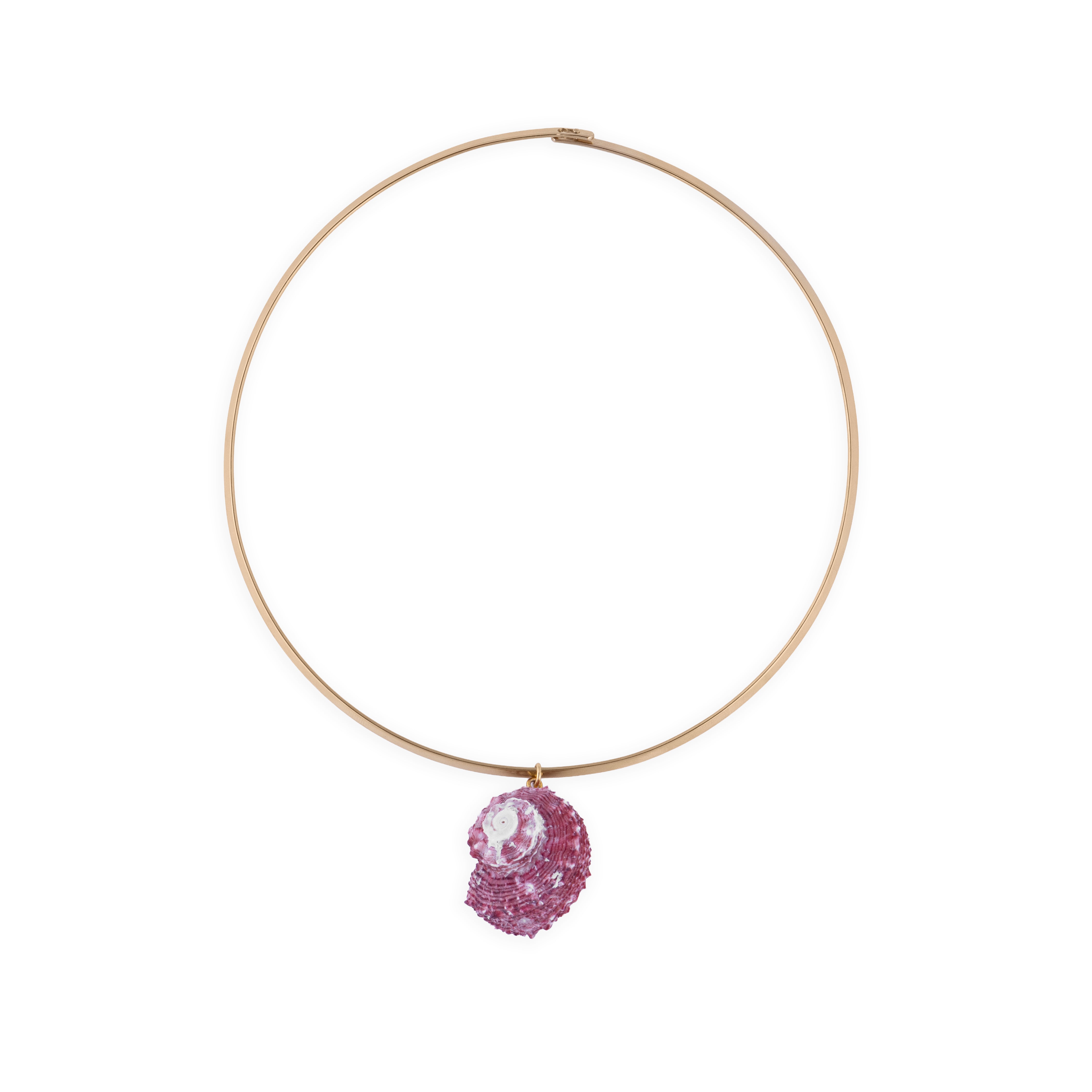 Pink Delphinula Shell Pendant Choker